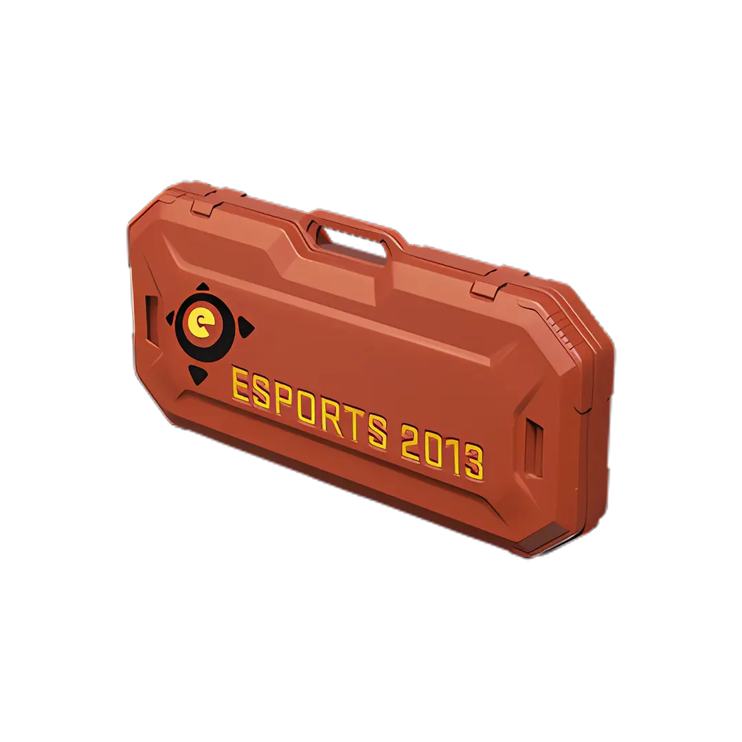 Esports 2013 Case