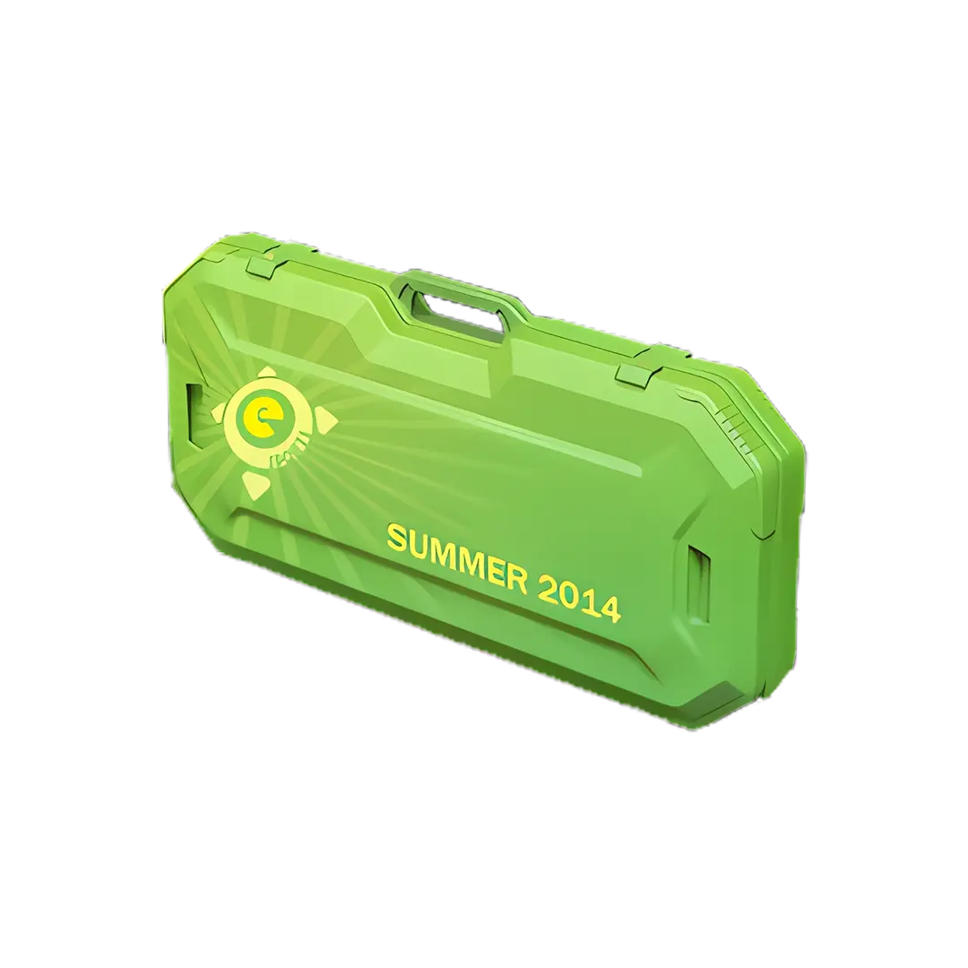 Esports 2014 Summer Сase