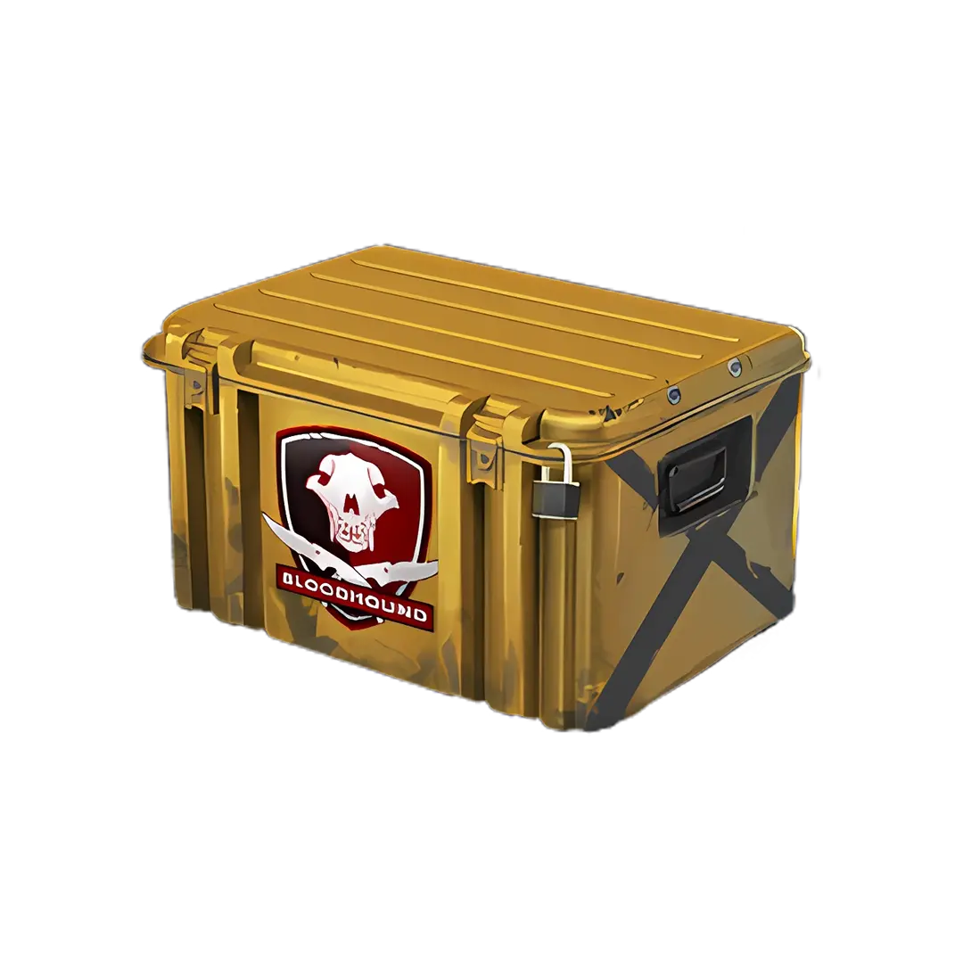 Falchion Case