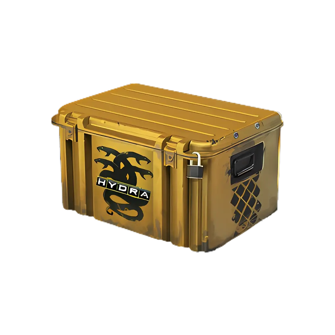 Operation Hydra Case