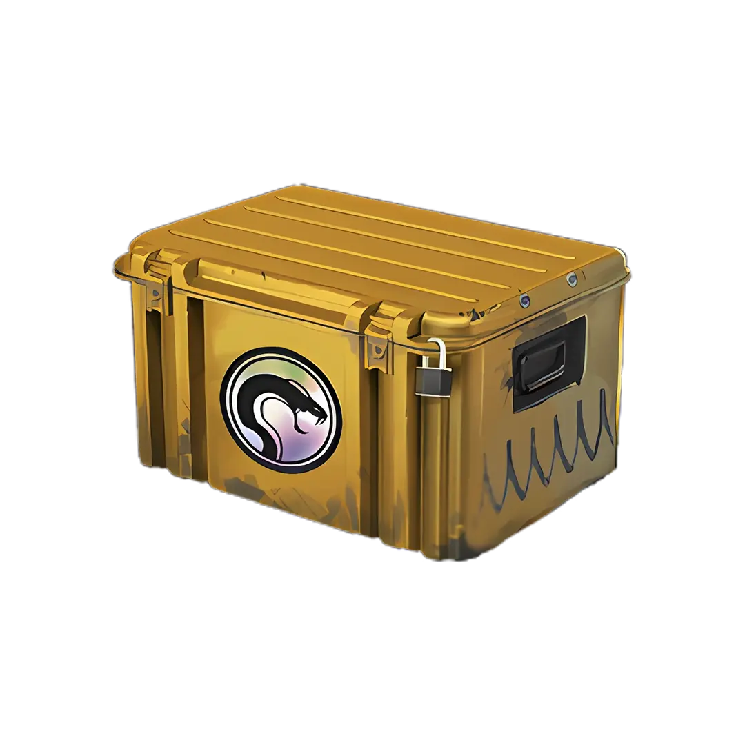 Recoil Case