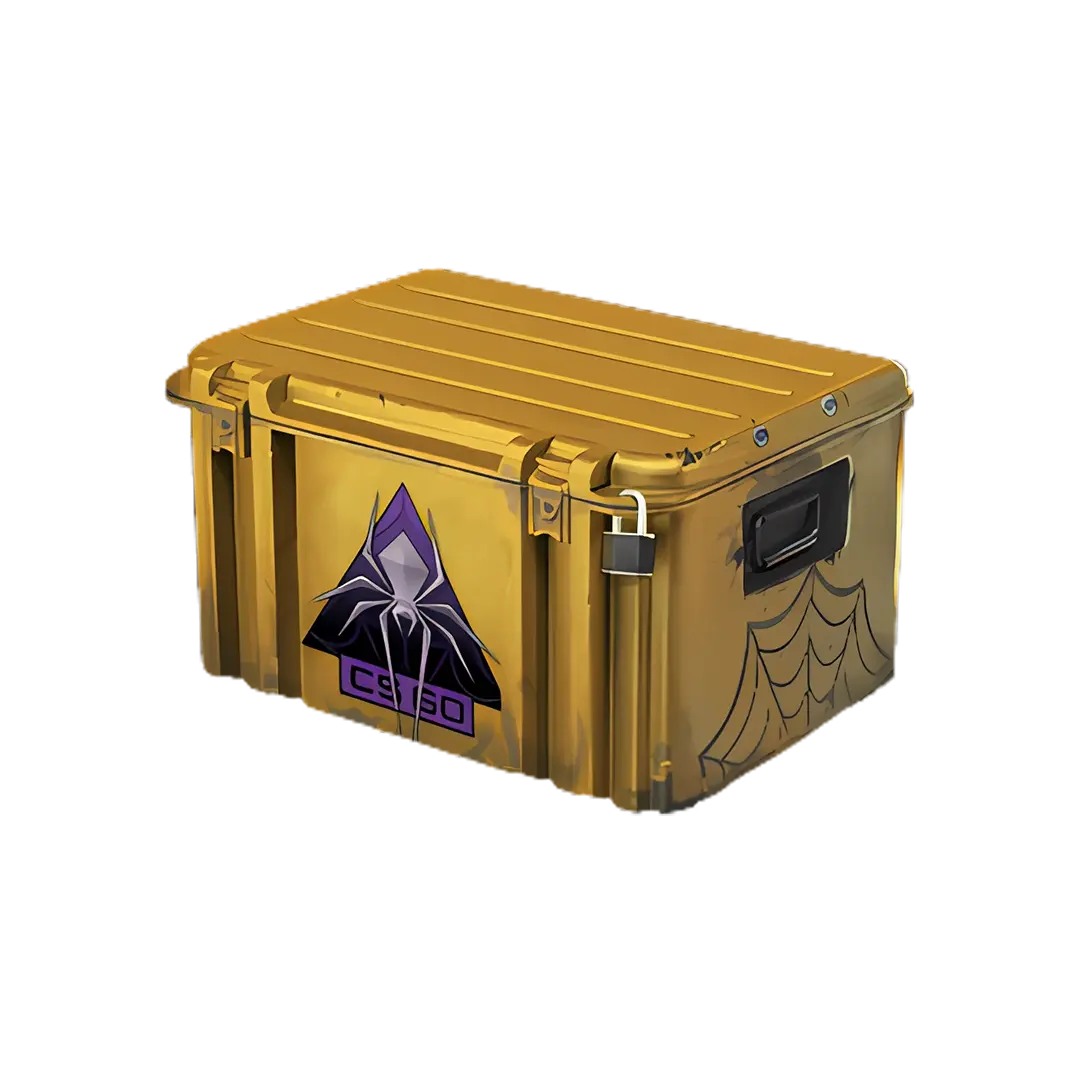 Shattered Web Case